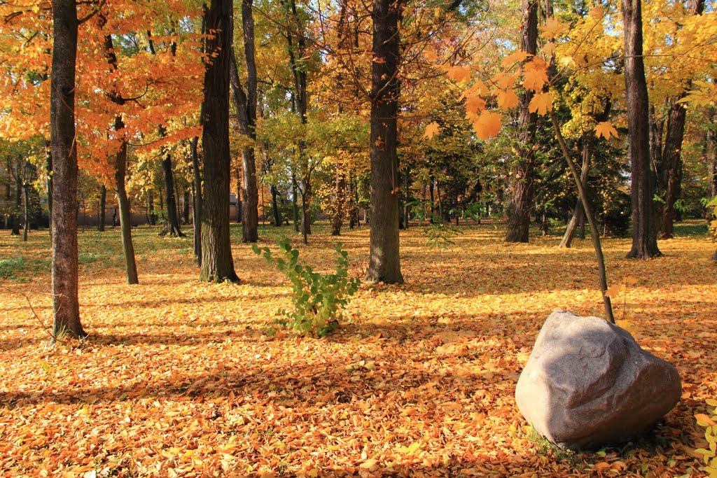 Klasztor Niepokalanek w Jarosławiu – klasztor , kaplica i park