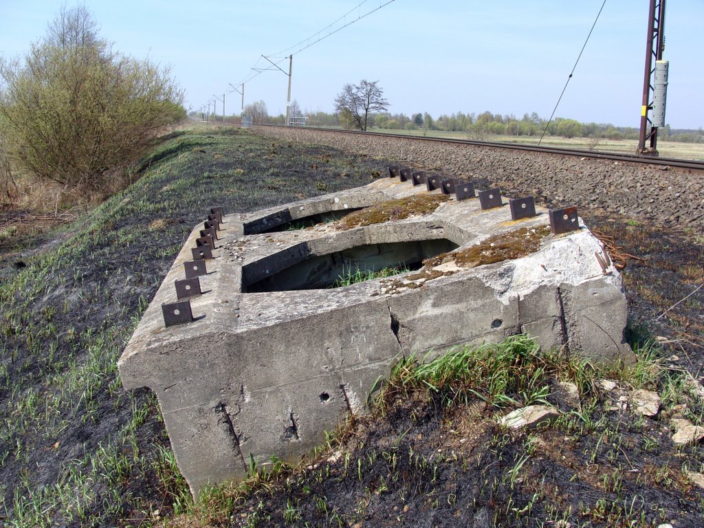 resztki starego mostu kolejowego na rzece Kulikówka (kwiecień 2009)