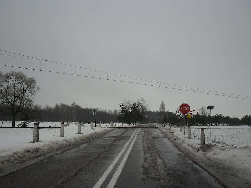 GM. Dobrzyniewo Duże