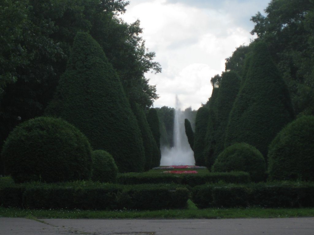 Fontanna w parku.