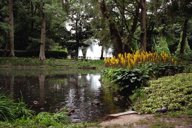 Staw na Plantach