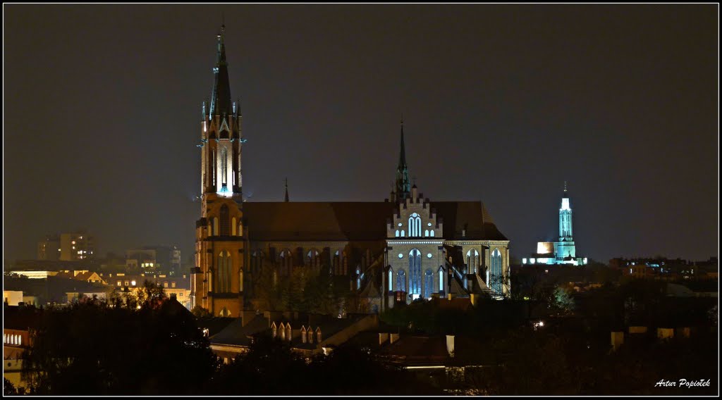 Katedra Wniebowzięcia N.M.P. (w tle Kościół Św. Rocha).