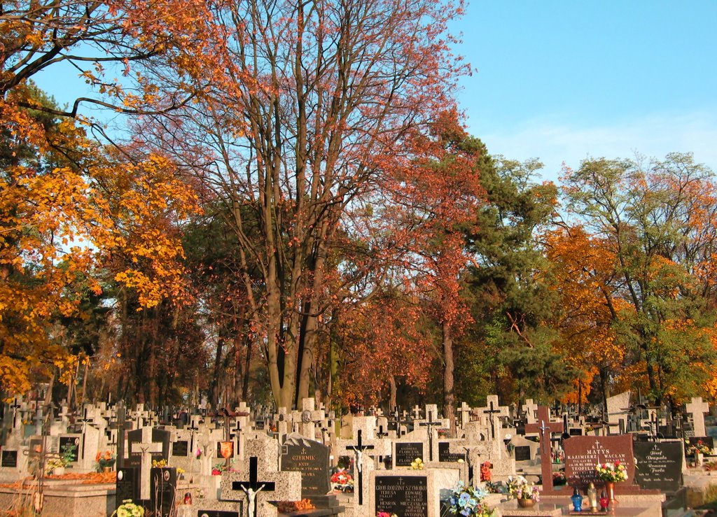 on cemetery, Białystok, Poland