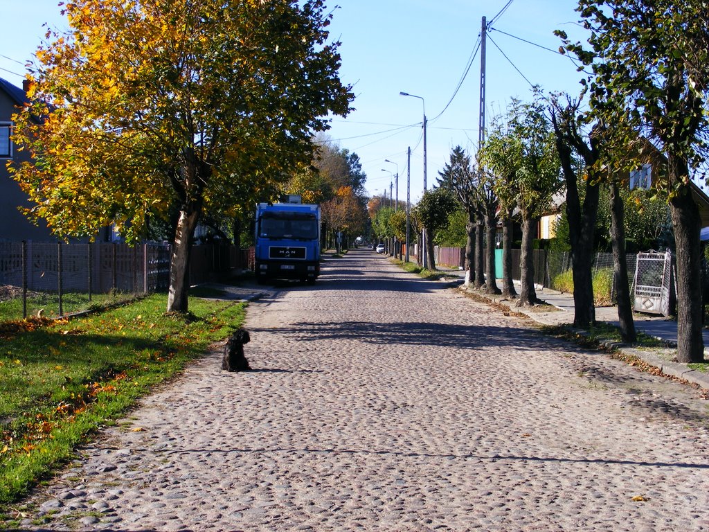 ul. E. Orzeszkowej