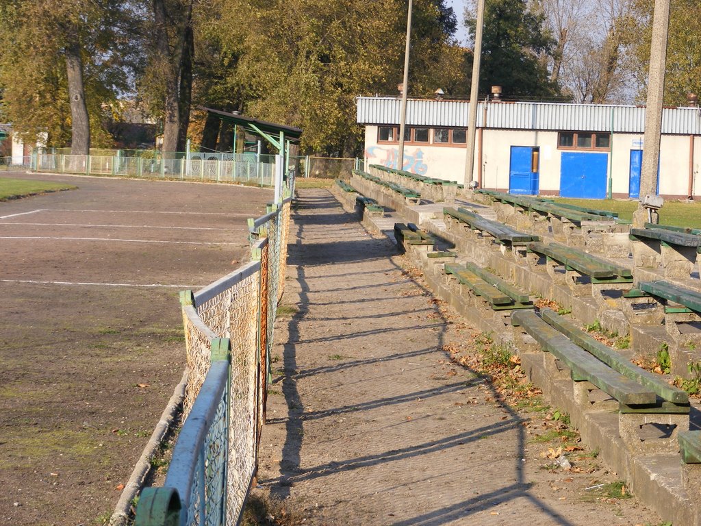 stadion - płot