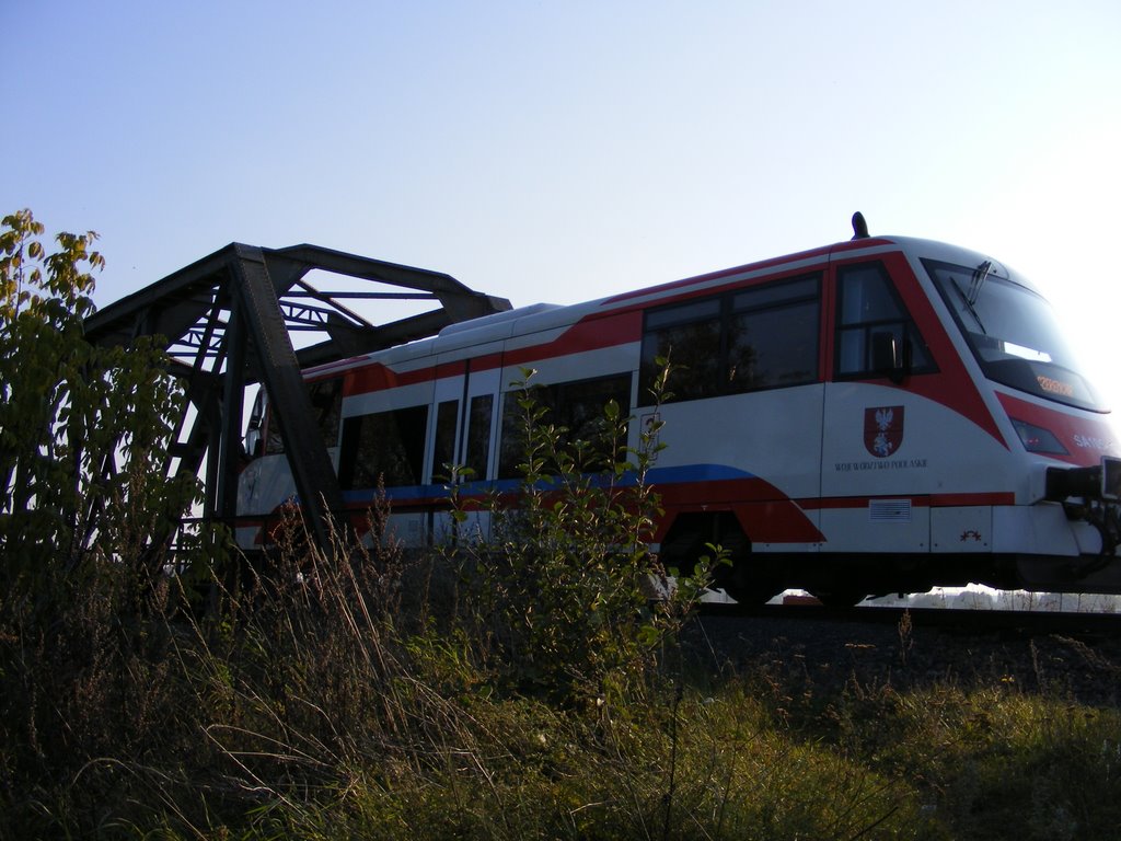 żelaźniak