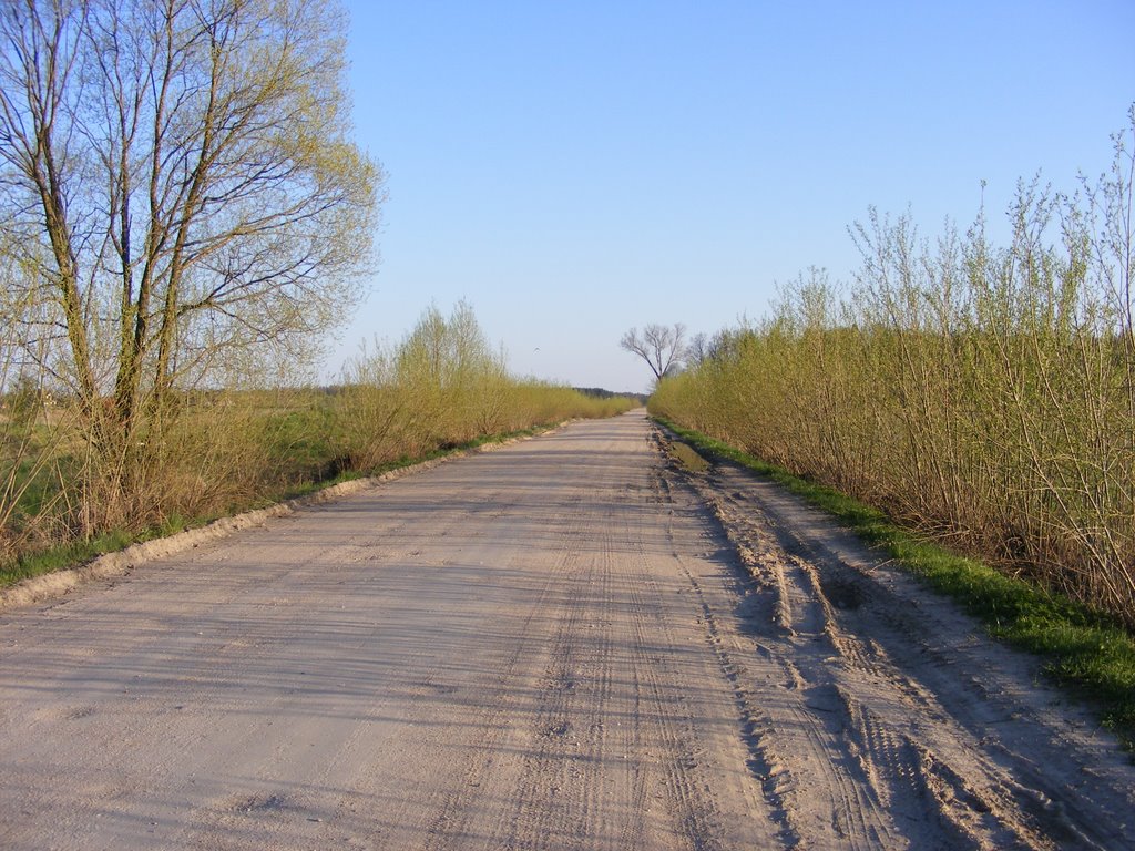 szosa