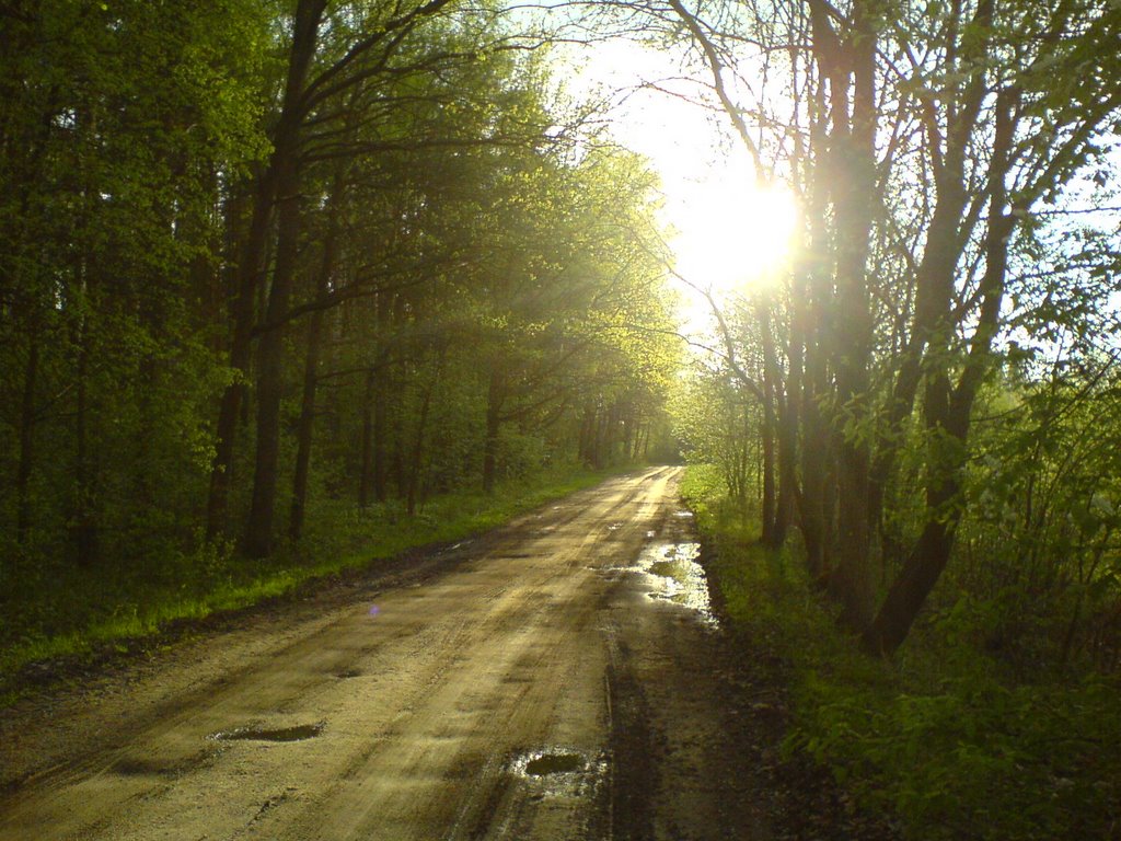 szosa, las
