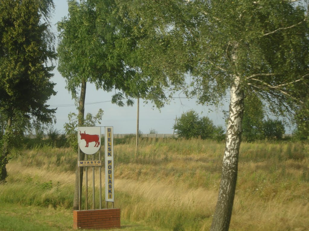 Більськ Підляський