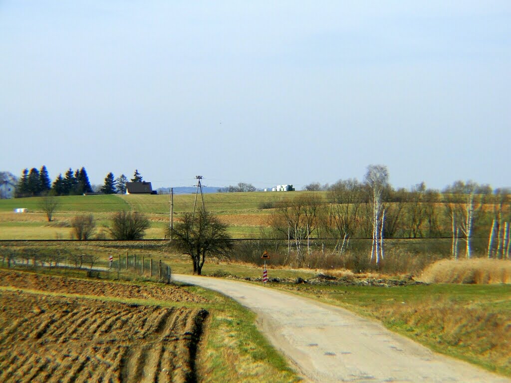 Wiosenne pola i łąki.