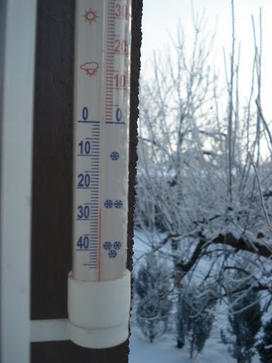 Winter 2008/2009