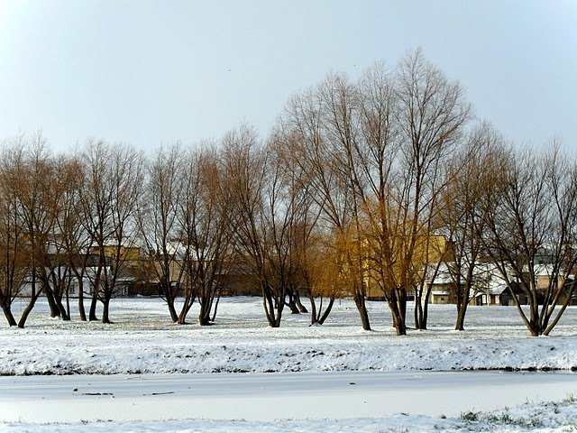 Pierwszy podmuch zimy