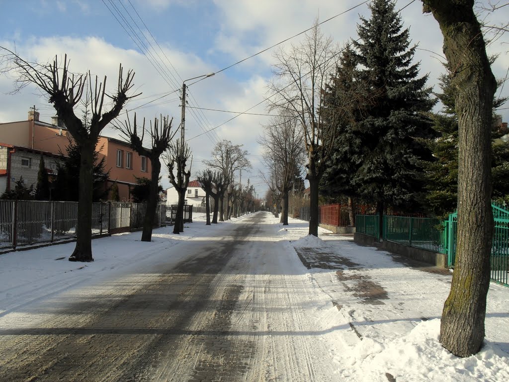 Ełk