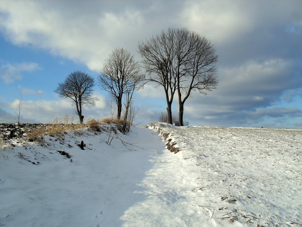 Krzyż
