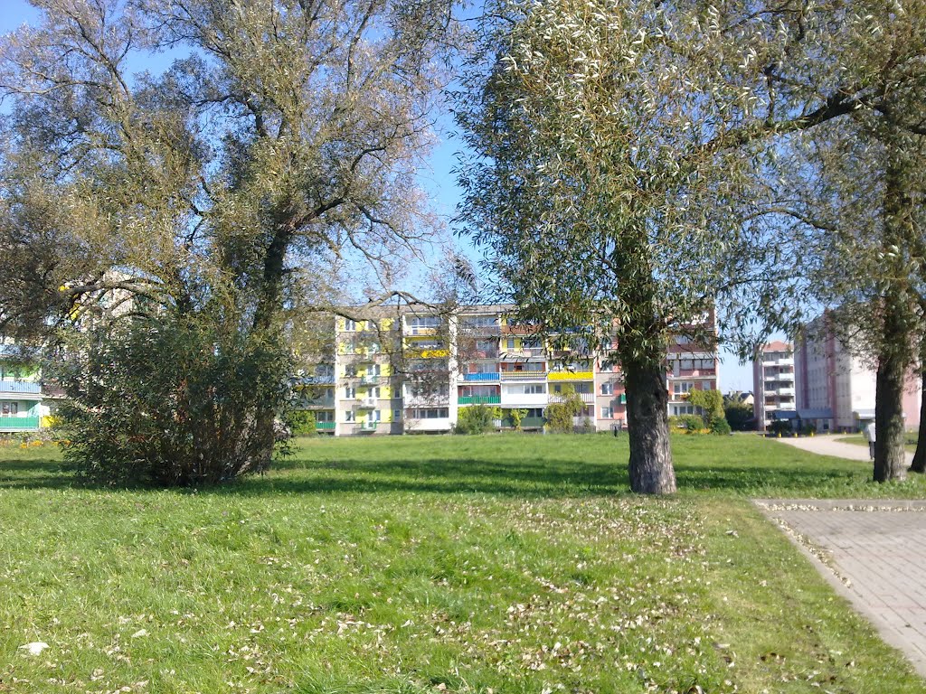 grajewo