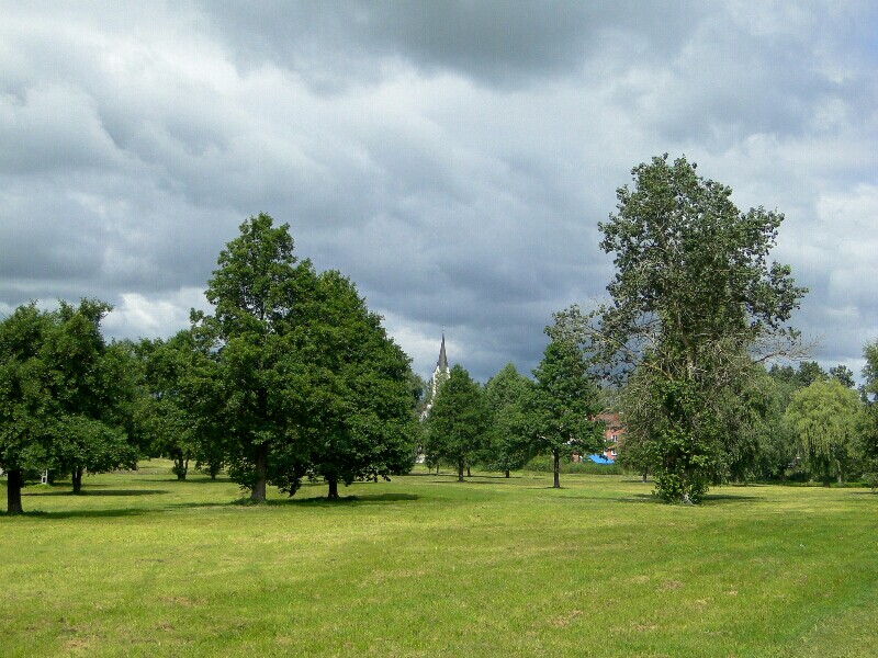 Park centralny- bagnista łączka