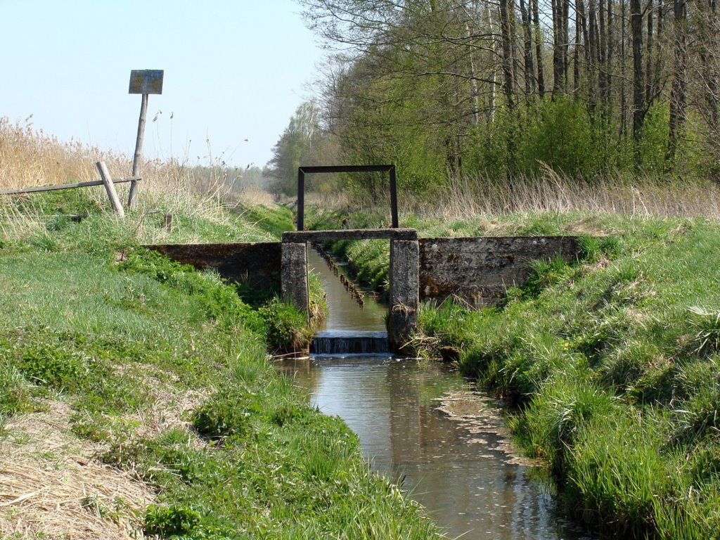 zastawka, tama wodna na rzece Kulikówka, stawy hodowlane Popielewo bud. przełom XIX-XX (kwiecień 2009)