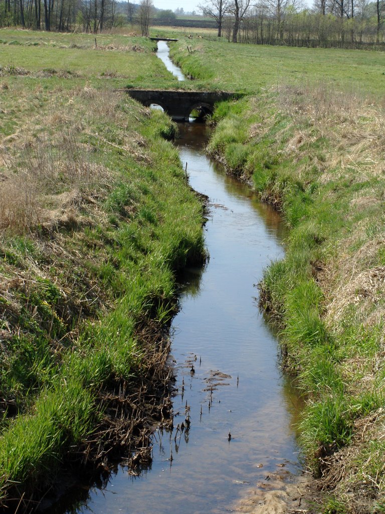 kładki na rzece przy stawach hodowlanych Popielewo  (kwiecień 2009)