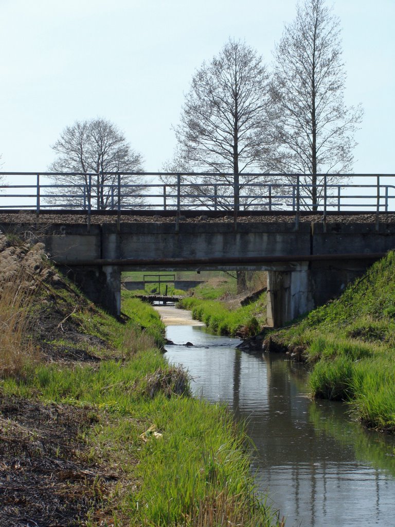 Most kolejowy na rzecze Kulikówka (kwiecień 2009)