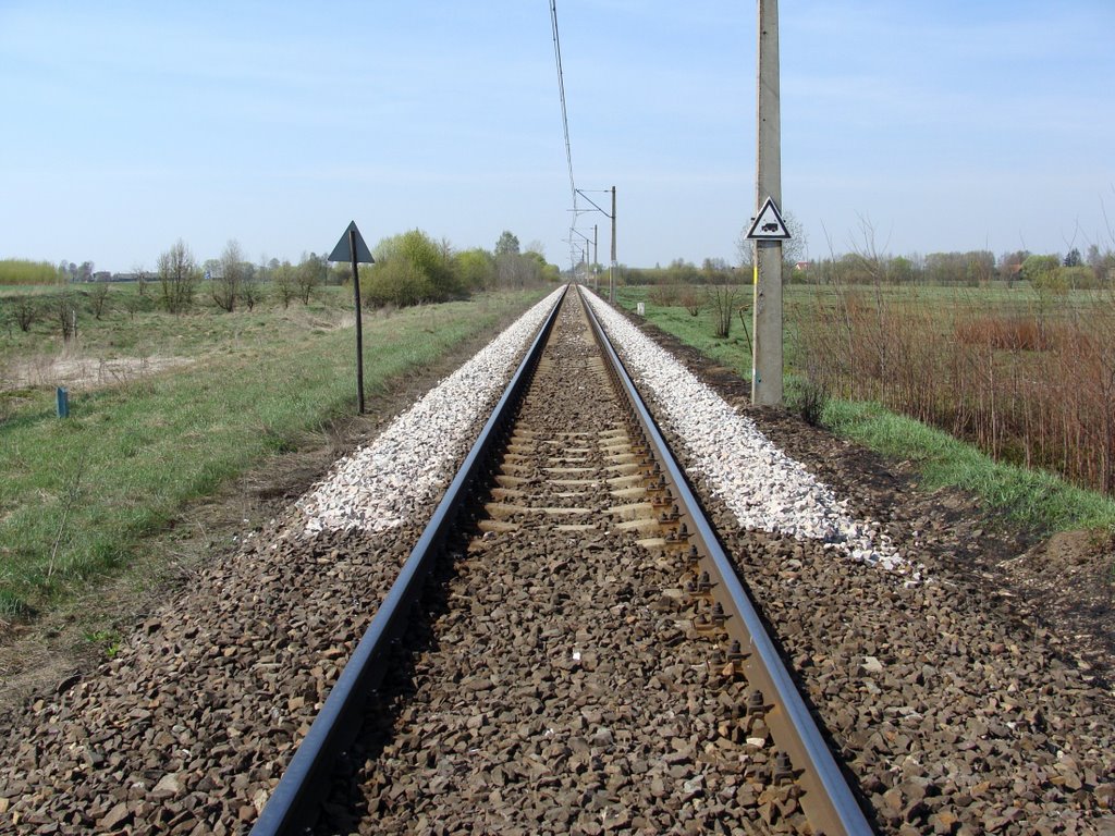 stary, nowy kruczeń tory kolejowe Knyszyn - Borsukówka (kwiecień 2009)