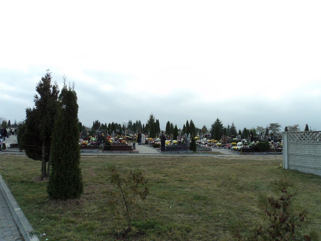 cmentarz 01.11.11