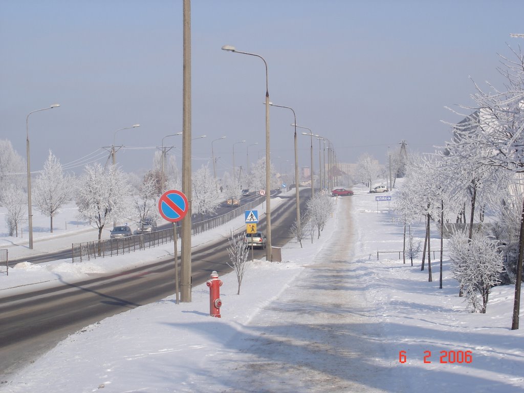 Zambrów