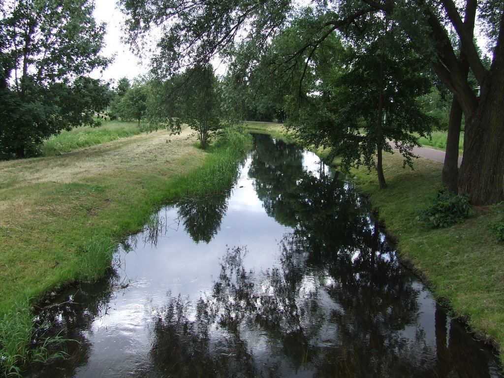 Rzeka Czarna Hańcza - 13/06/2008