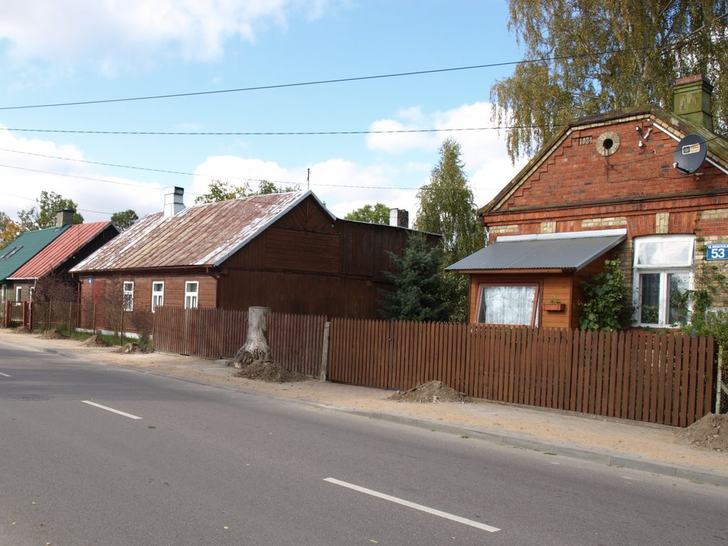 ulica Wigierska (pień w płocie)