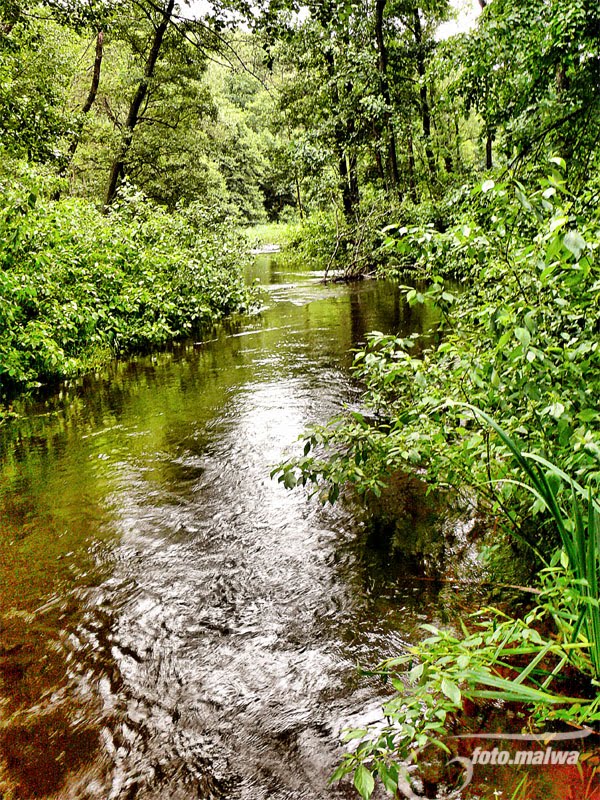 Czarna Hańcza