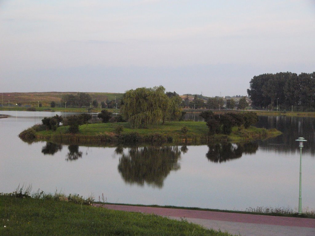 island in the Zalew Arkadia lake