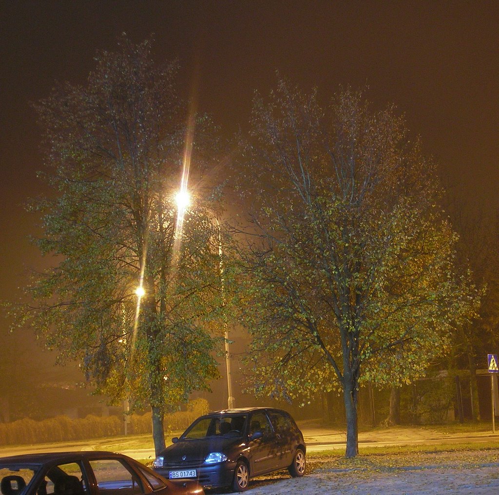 Skrzyżowanie Modrzewiowej ze Świerkową  jesienną nocą
