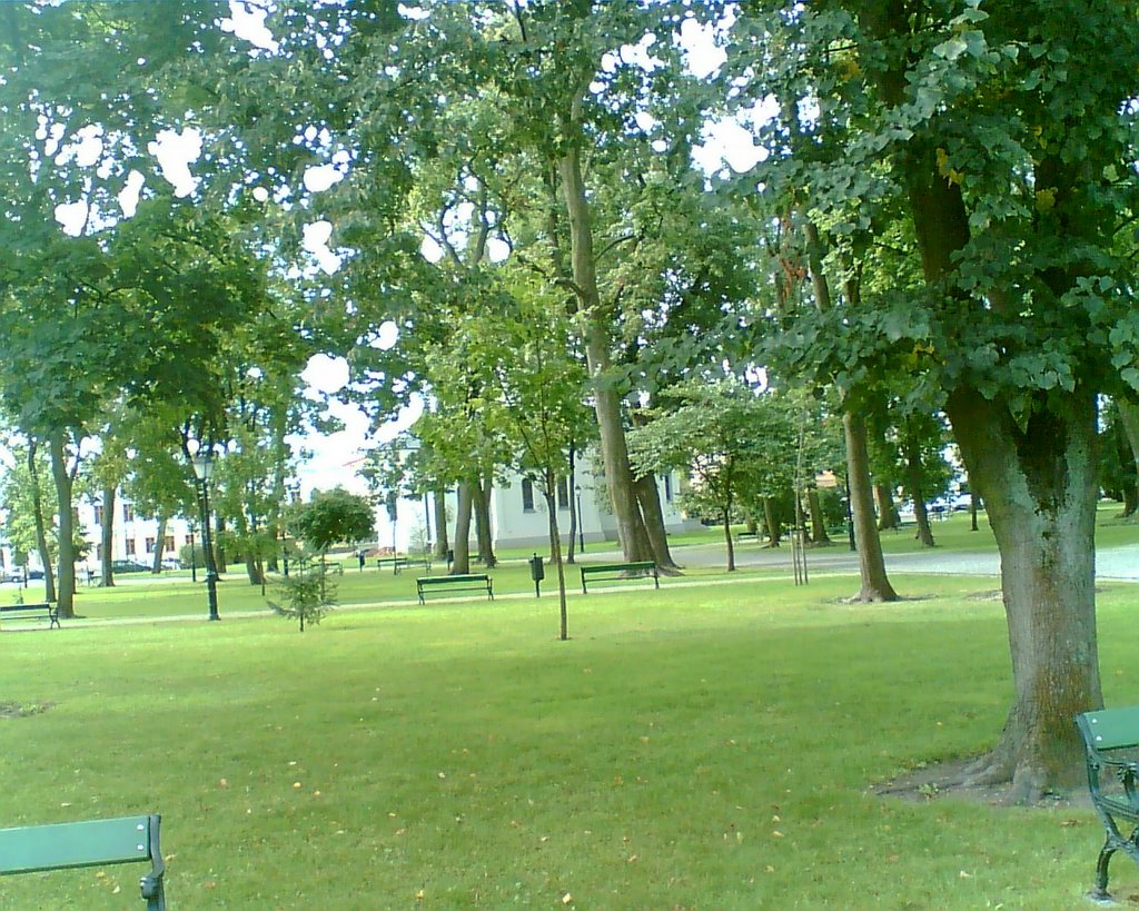 Park Konstytucji 3 Maja