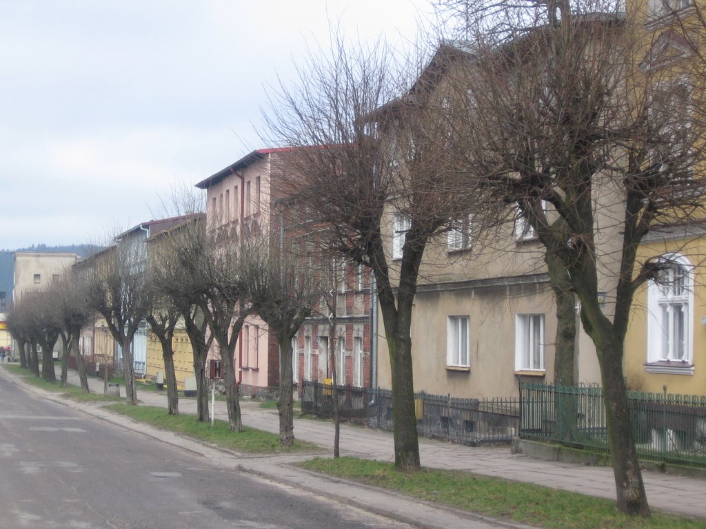 Okolice ulicy Kopernika