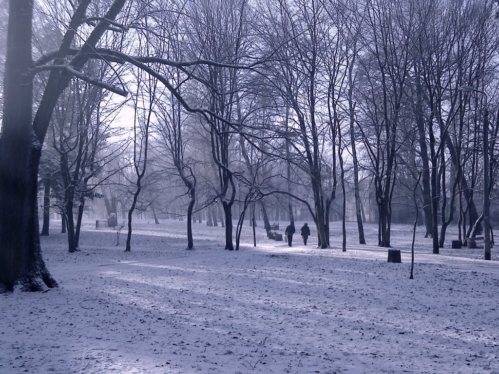 park