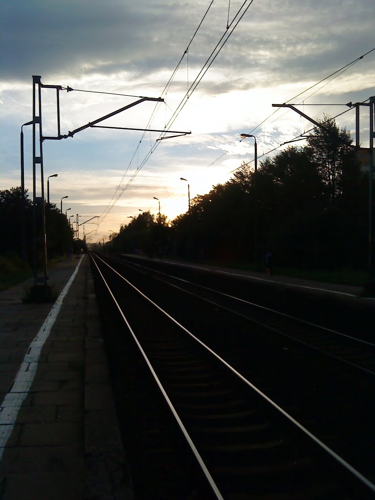 kierunek Gdańsk