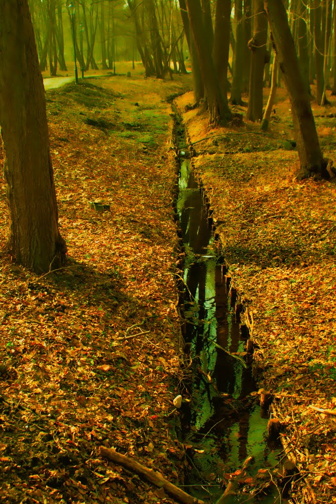 Wejherowo - Park