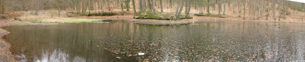 Staw