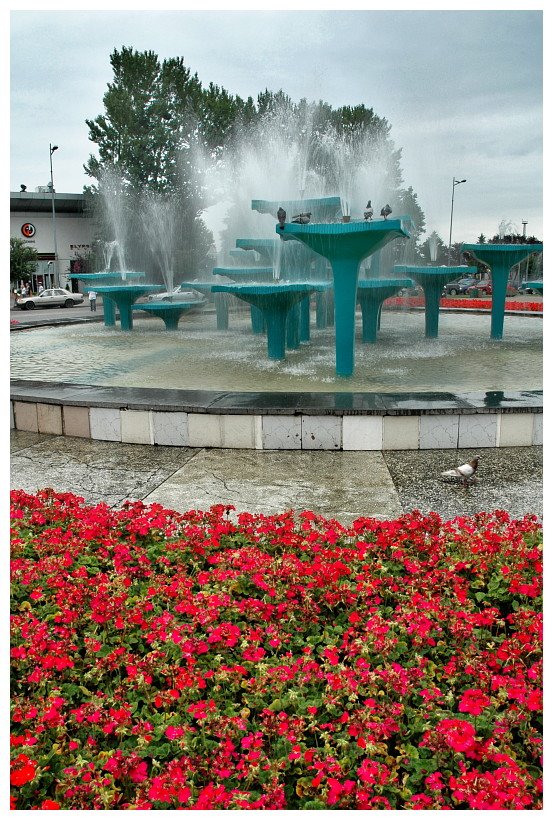 fontanna na Skwerze Kościuszki, Gdynia | fountain at Kosciuszko Sq in Gdynia