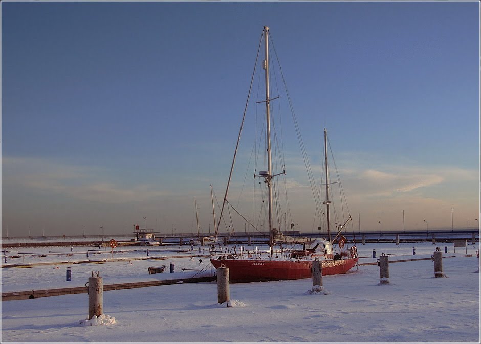Winter holds