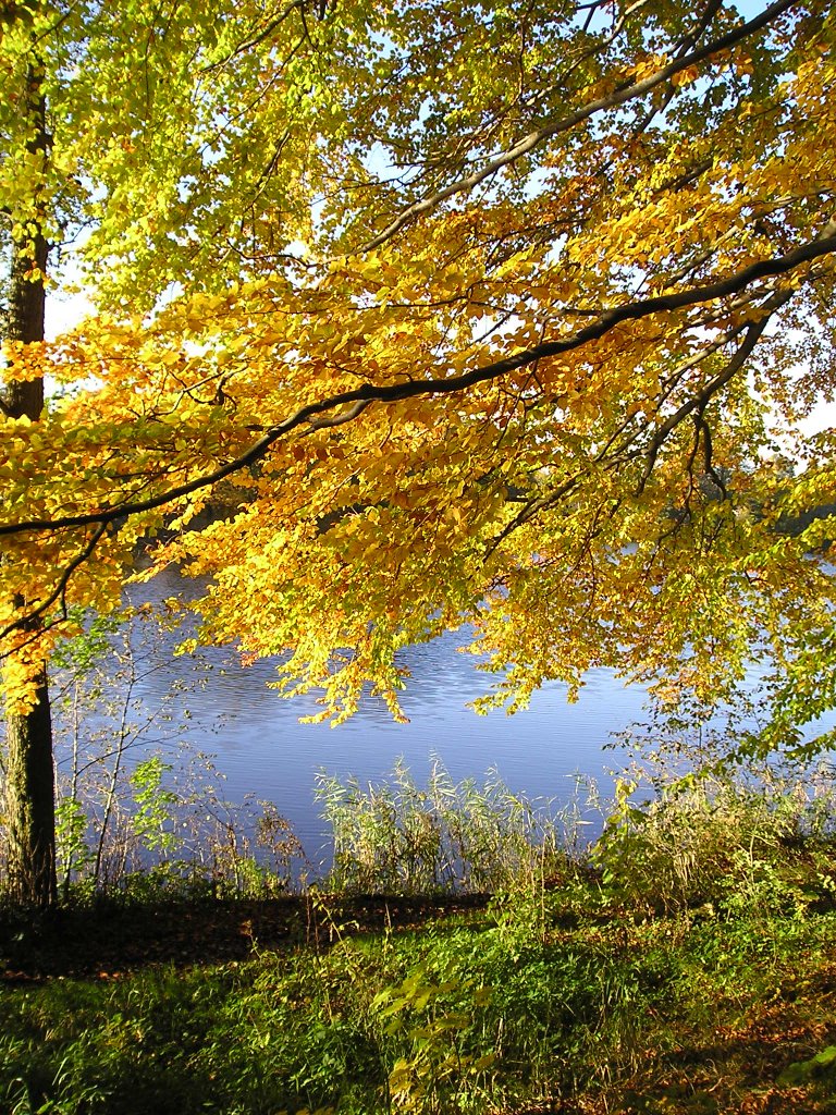 Jesień 2007 - Jezioro Kapliczne