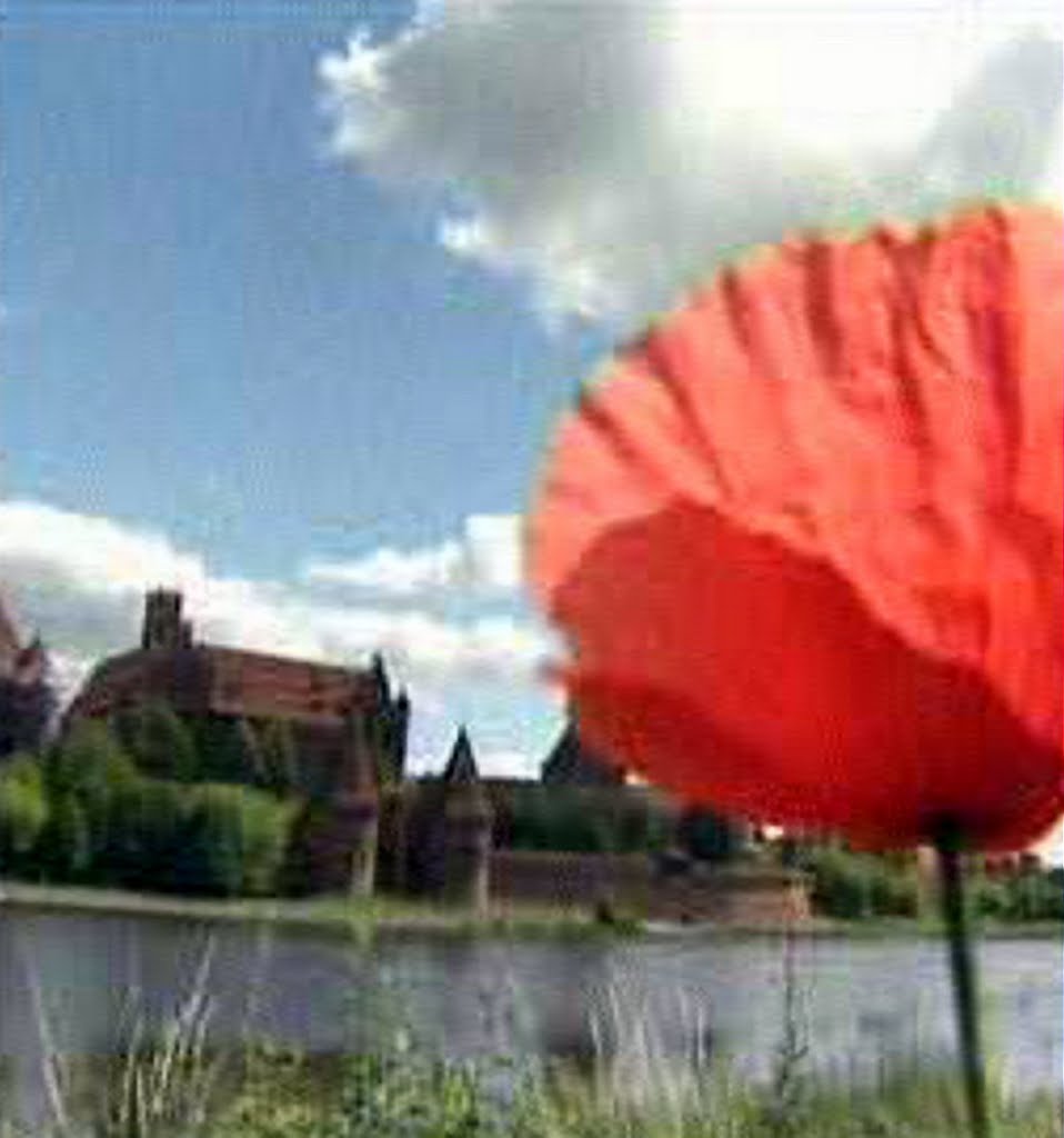 Panorama, MALBORK