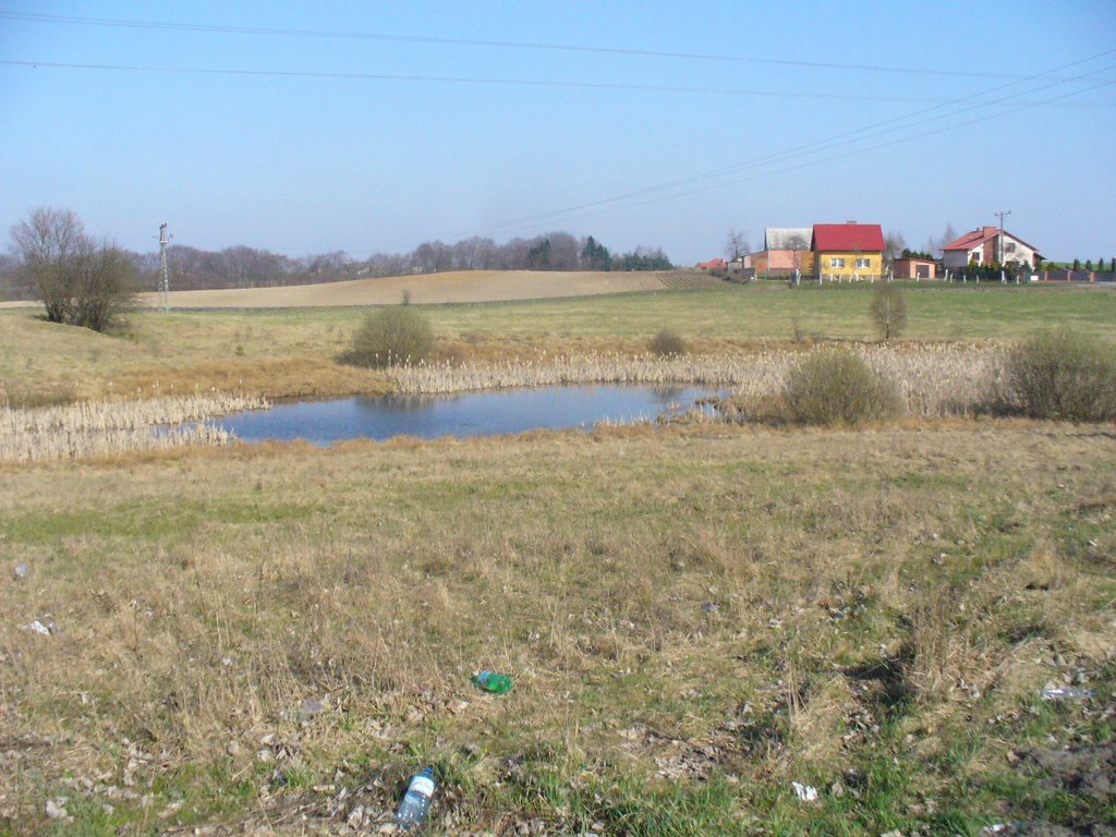 Peryferia Kościerzyny są bardzo urokliwe