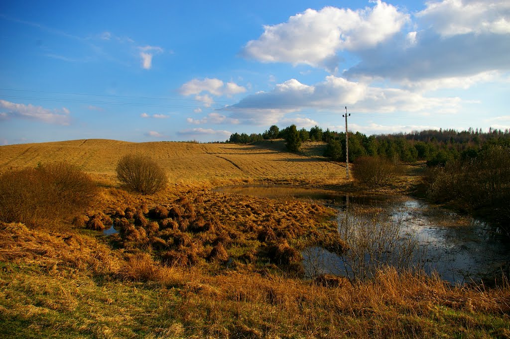 Wytopisko