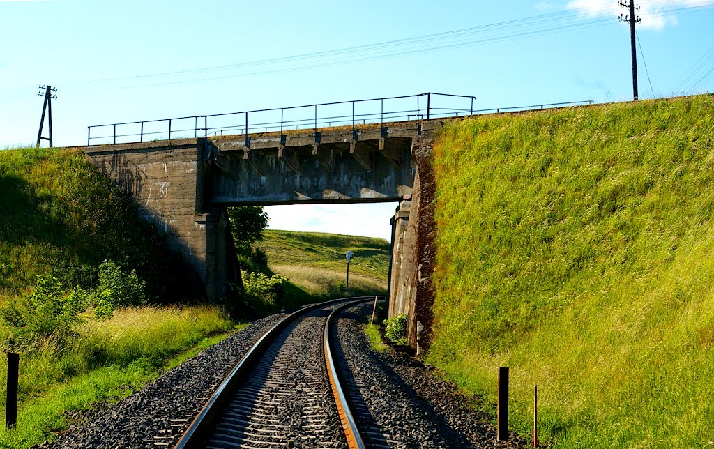 Wiadukt na linii kolejowej 211, nad linią 201
