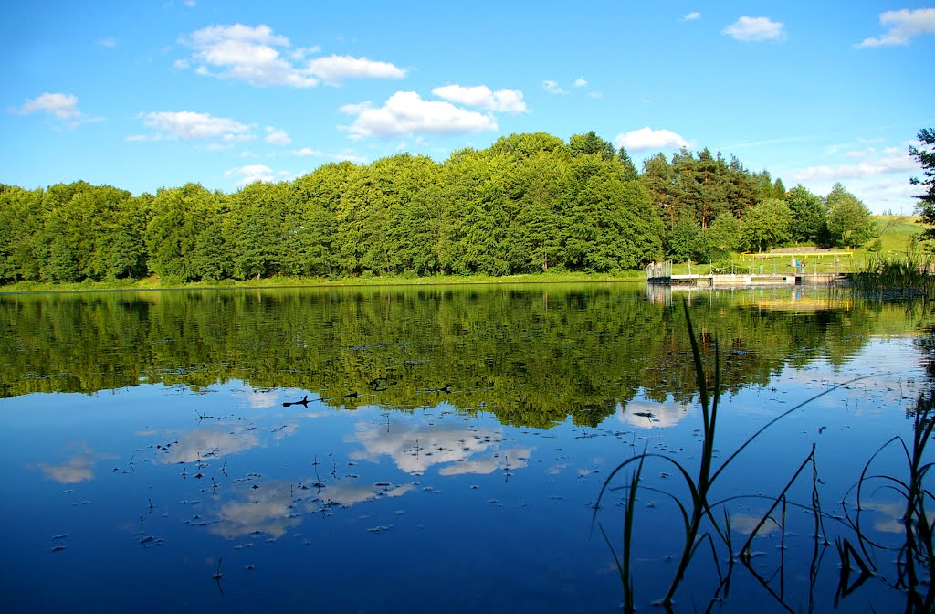 Jezioro Gałęźne