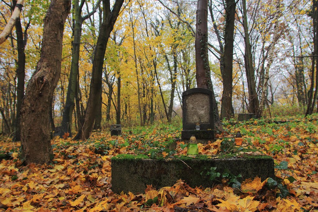 Der Toten in diesem namenlosen Grab, auf dem von polnischen Kommunisten verwüsteten Friedhof in Ritzow, wird immer noch gedacht
