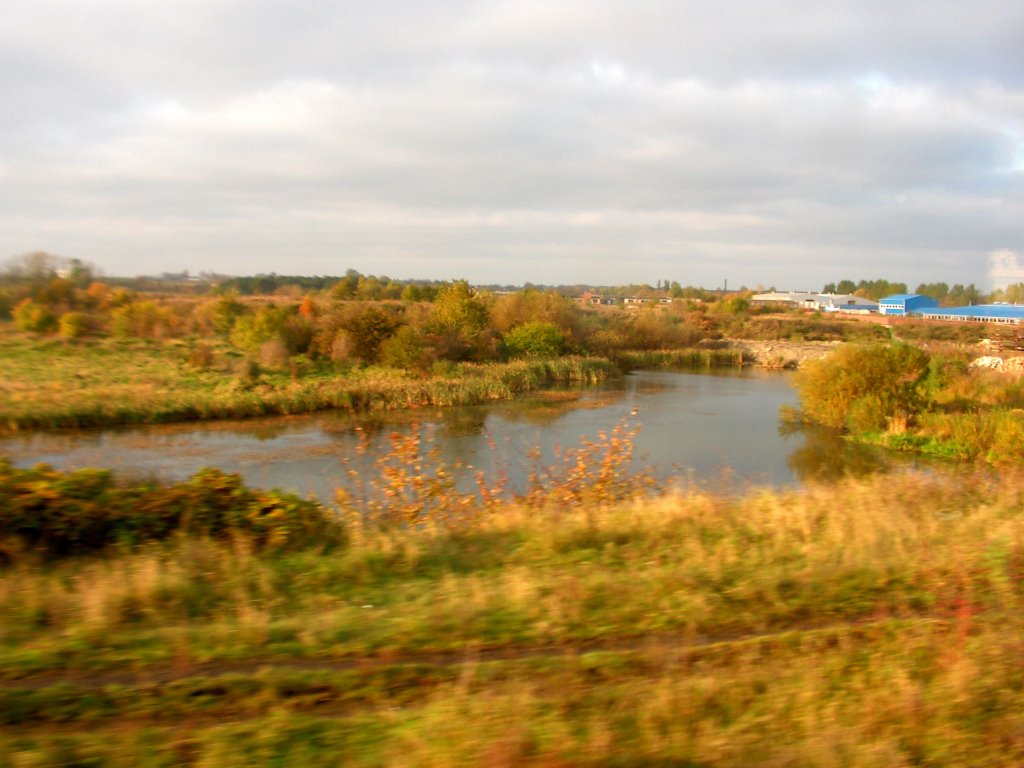 Staw w Słupsku