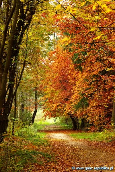 Polska Jesień (Polish Autumn)
