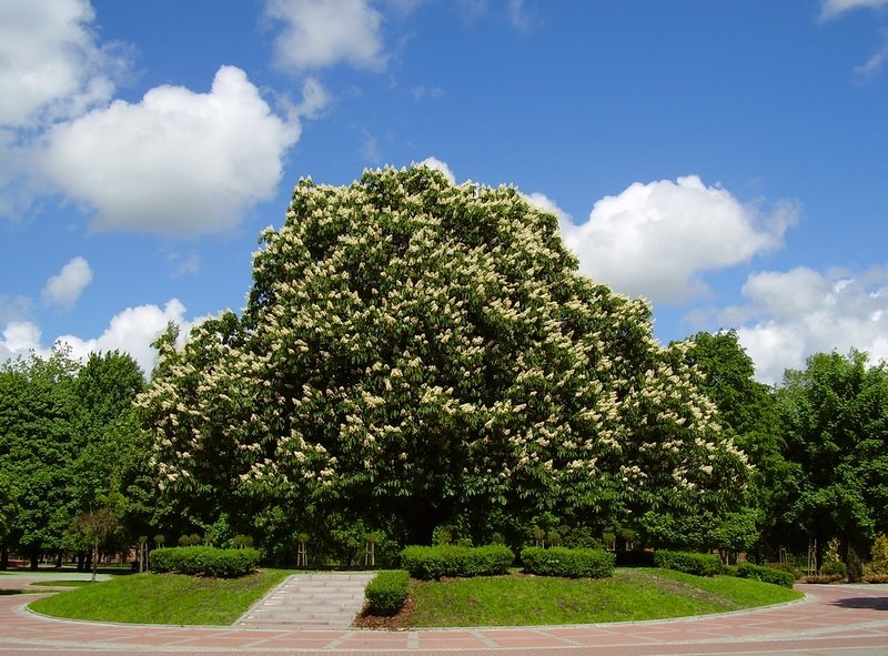 Słupsk Park Kultury i Wypoczynku