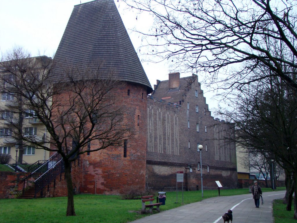 Wieża Czrownic